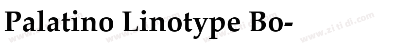 Palatino Linotype Bo字体转换